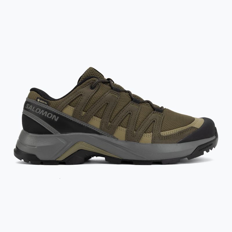 Мъжки обувки за трекинг Salomon X-Adventure Recon Waterproof olvnig/martini 2