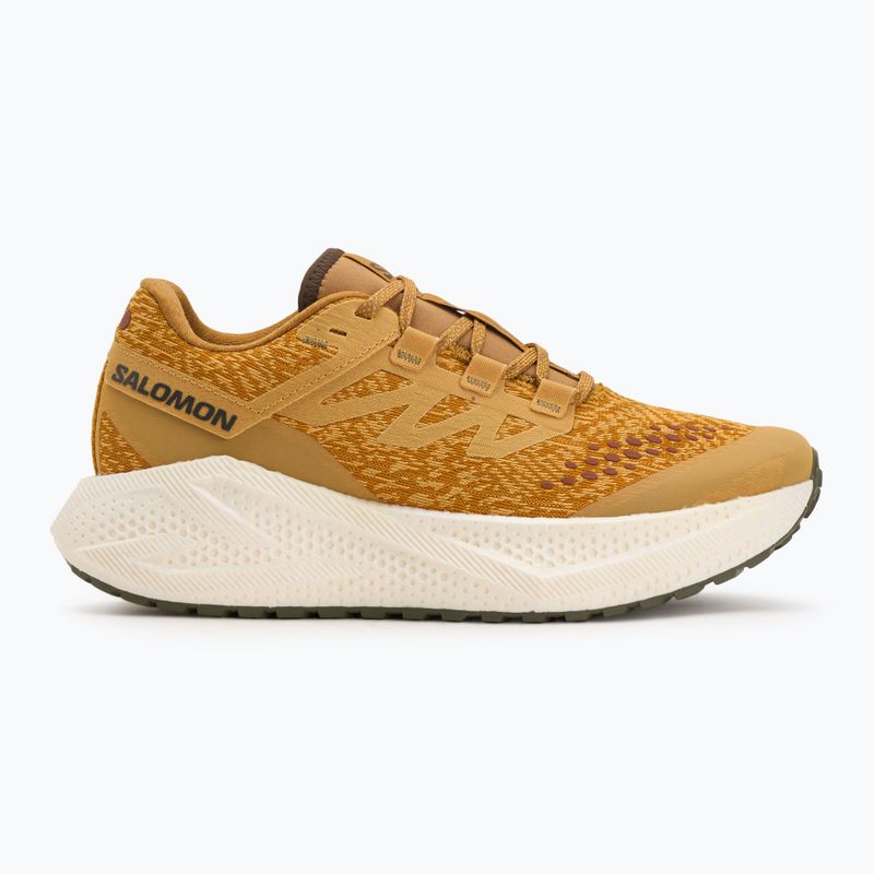 Мъжки обувки за бягане Salomon Aero Glide 3 Gravel spicy mustard/vanilla ice/deep lichen green 2
