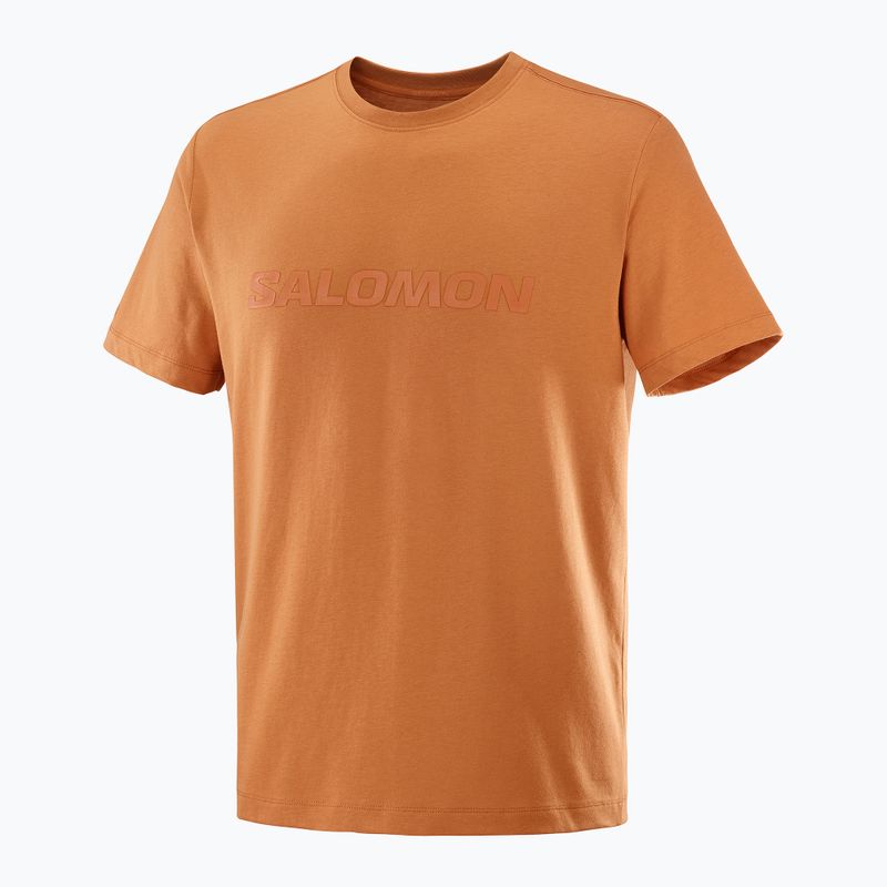 Мъжка тениска Salomon Big Logo Sierra 4