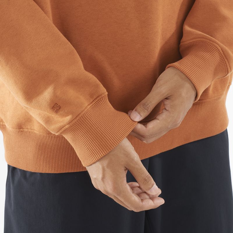 Мъжки суитшърт с лого на Salomon Crewneck sierra 4