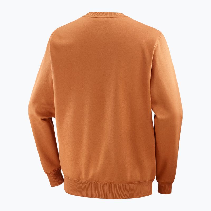 Мъжки суитшърт с лого на Salomon Crewneck sierra 6