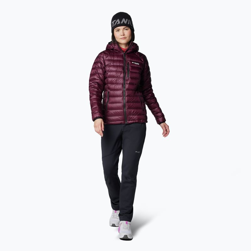 Дамско пухено яке Columbia Arctic Crest Down Hooded moonvista 2