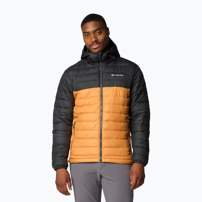 Мъжко пухено яке Columbia Powder Lite II Hooded sunstone/ shark