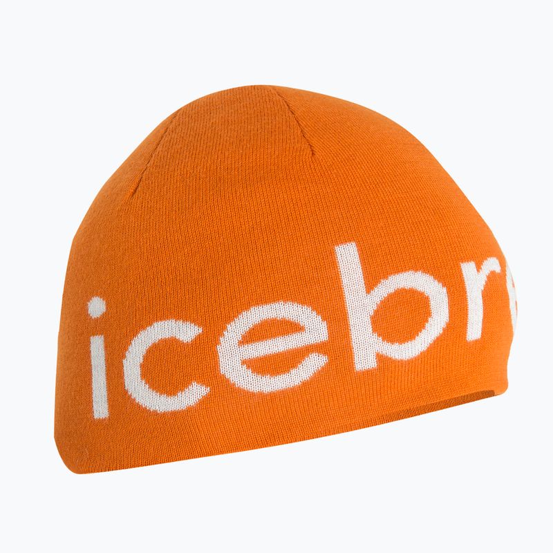 Icebreaker Merino зимна шапка earth/ecru hthr 6