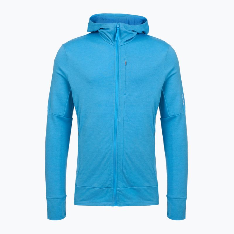 Мъжки суитшърт за трекинг Icebreaker Merino 260 Quantum IV Zip Hoodie arctic 10