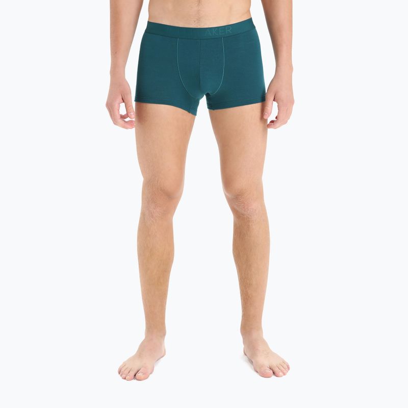 Мъжки термални боксерки Icebreaker Anatomica Cool-Lite green 105223 4