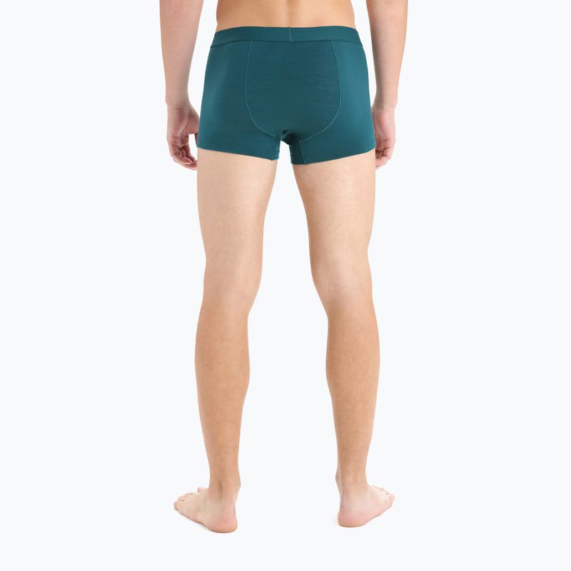 Мъжки термални боксерки Icebreaker Anatomica Cool-Lite green 105223 5