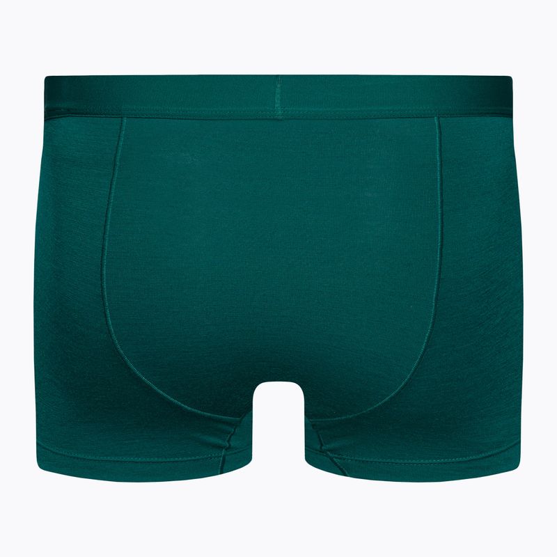 Мъжки термални боксерки Icebreaker Anatomica Cool-Lite green 105223 2