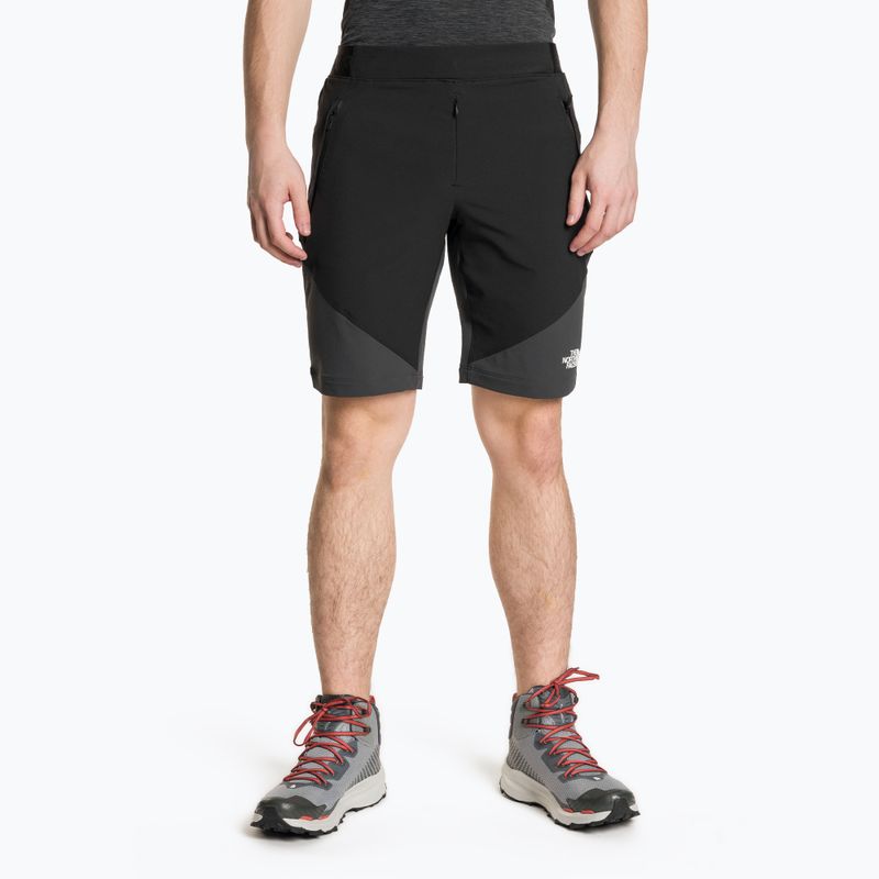 Мъжки къси панталони за трекинг The North Face Circadian Alpine black NF0A5IMPJK31