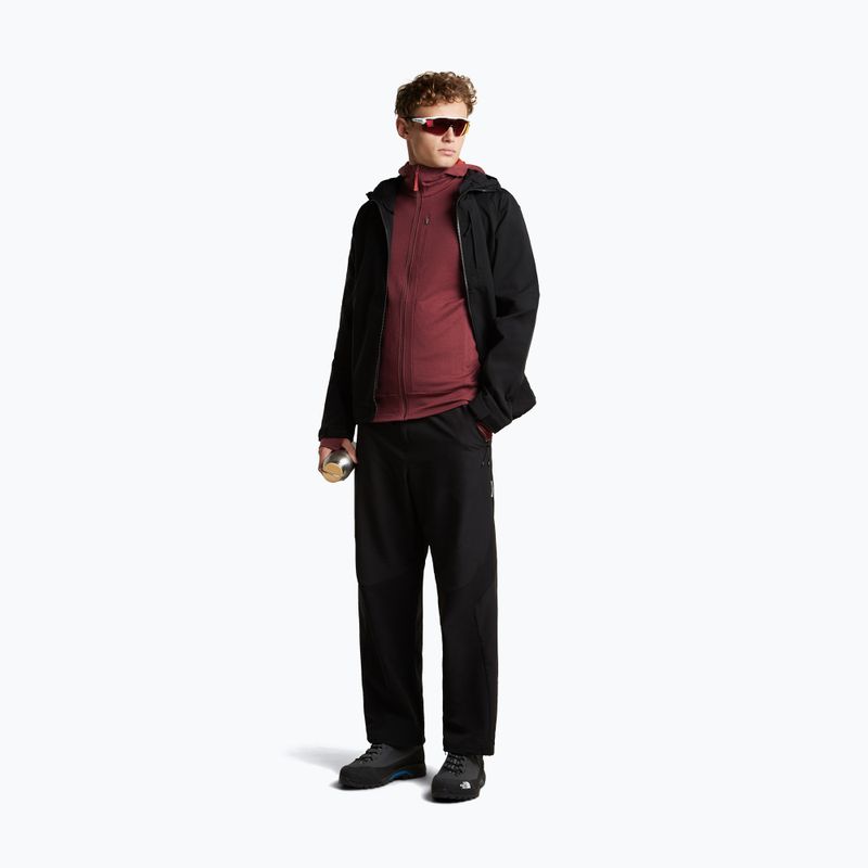 Мъжки суитшърт Icebreaker Merino 260 Quantum IV LS Zip Hoodie port/agate 2