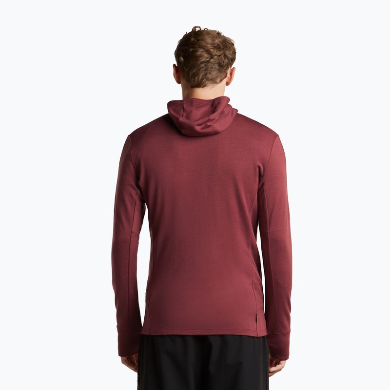 Мъжки суитшърт Icebreaker Merino 260 Quantum IV LS Zip Hoodie port/agate 3