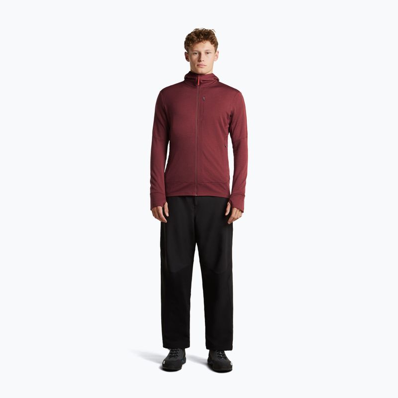 Мъжки суитшърт Icebreaker Merino 260 Quantum IV LS Zip Hoodie port/agate 4