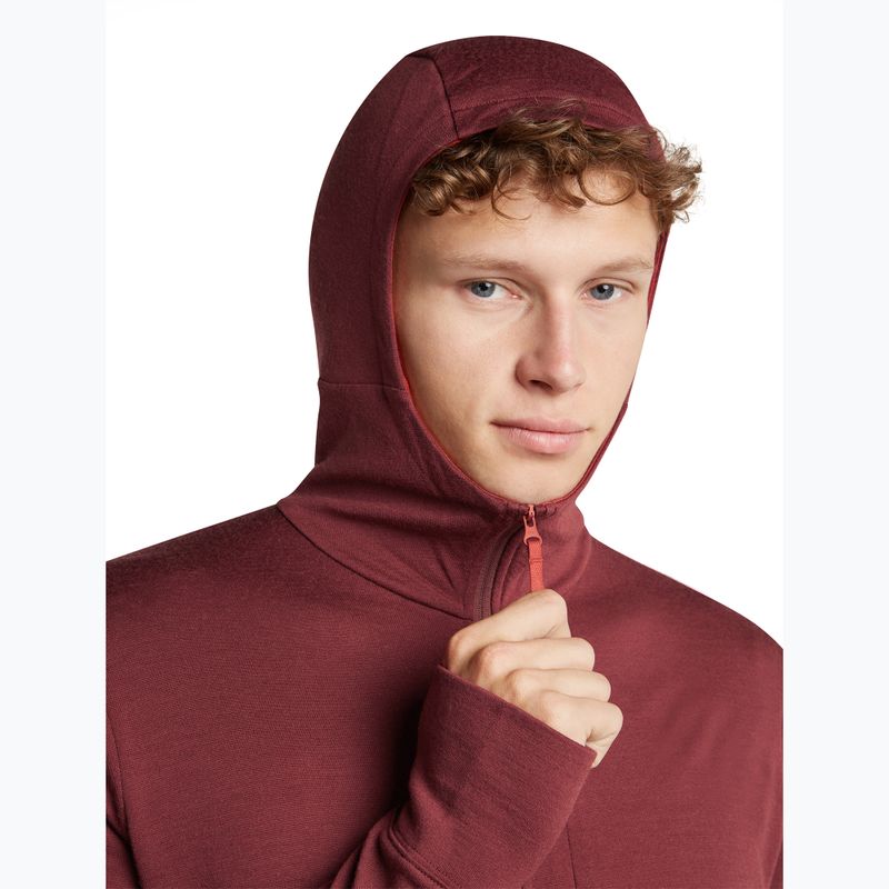 Мъжки суитшърт Icebreaker Merino 260 Quantum IV LS Zip Hoodie port/agate 6