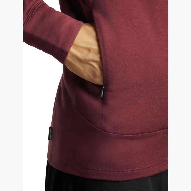 Мъжки суитшърт Icebreaker Merino 260 Quantum IV LS Zip Hoodie port/agate 9