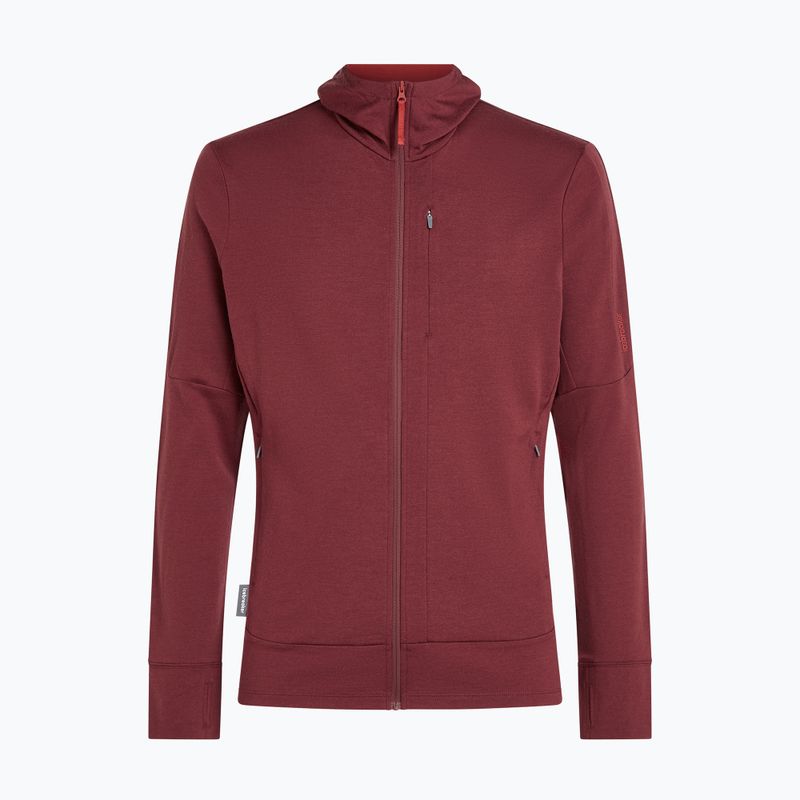 Мъжки суитшърт Icebreaker Merino 260 Quantum IV LS Zip Hoodie port/agate 10