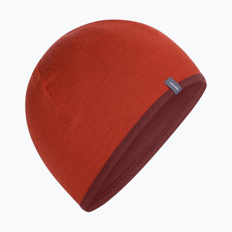 Шапка icebreaker Merino 200 Oasis Reversible Beanie agate/port 4