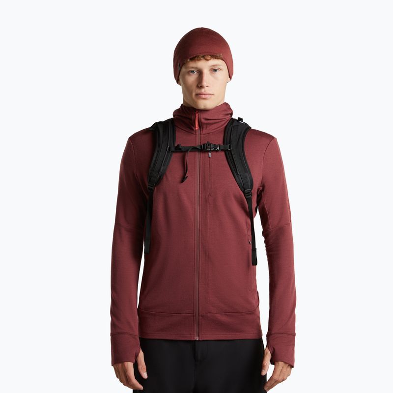 Шапка icebreaker Merino 200 Oasis Reversible Beanie agate/port 5