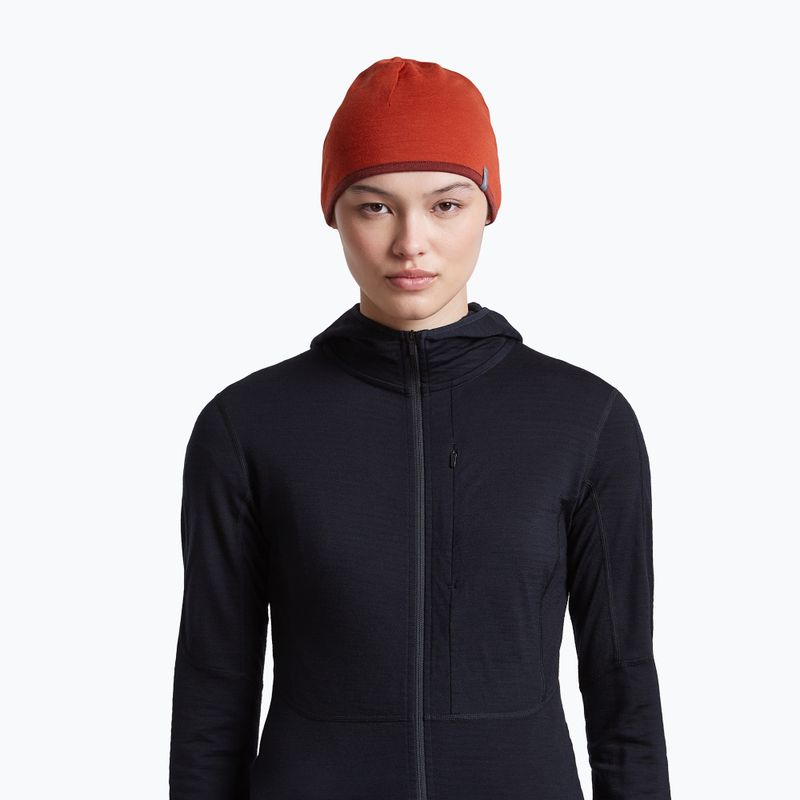 Шапка icebreaker Merino 200 Oasis Reversible Beanie agate/port 10
