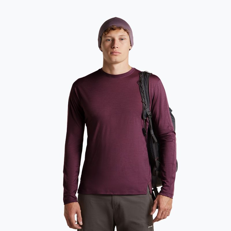 Шапка icebreaker Merino 200 Oasis Reversible Beanie berry/grey plum 6