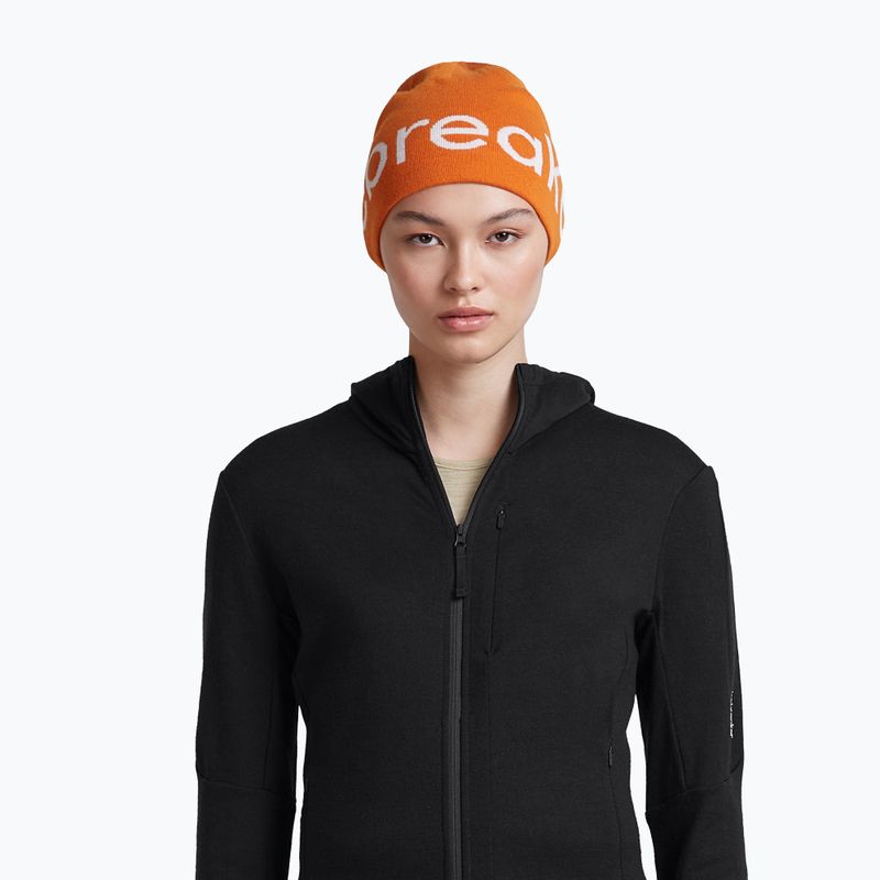 Зимна шапка icebreaker Merino Icebreaker Beanie spice/ecru heather 6