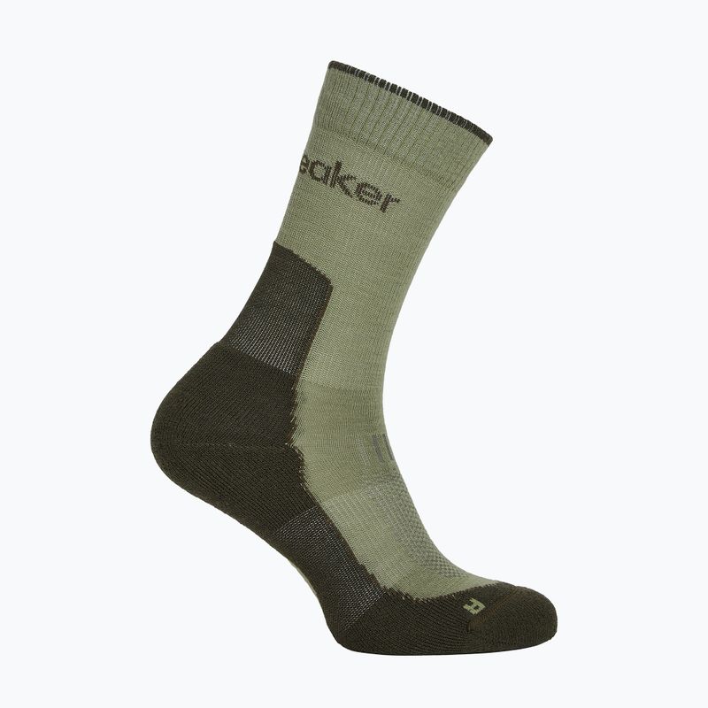 Дамски чорапи Icebreaker Merino Hike+ Light Crew lichen/dark loden 2