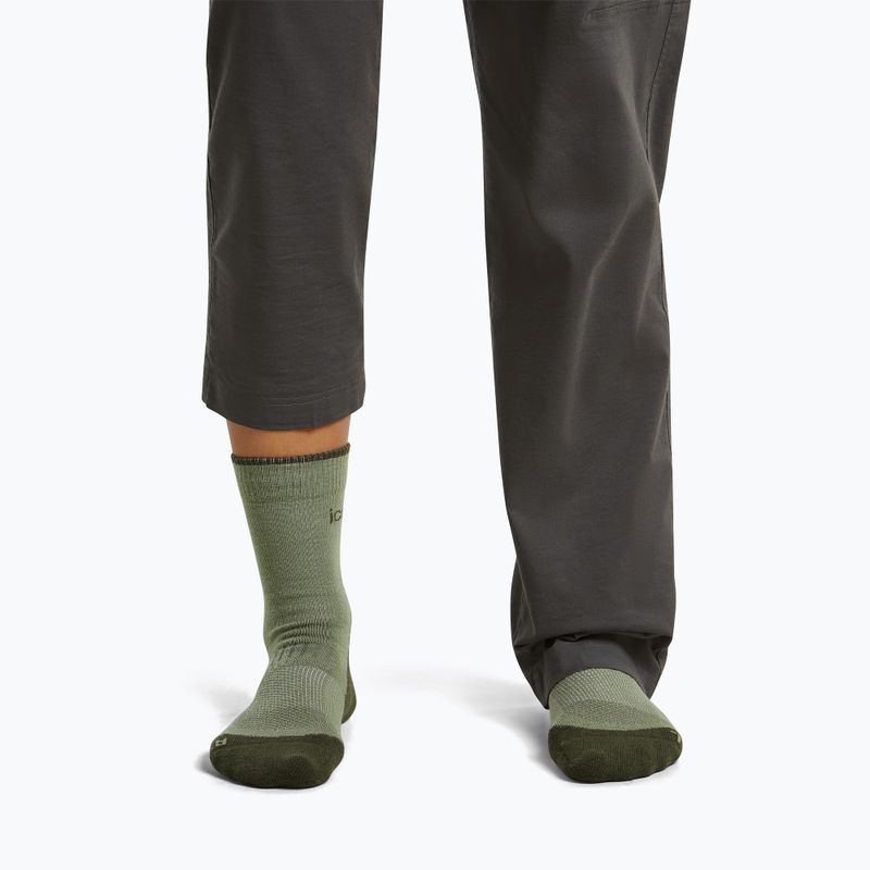 Дамски чорапи Icebreaker Merino Hike+ Light Crew lichen/dark loden 3
