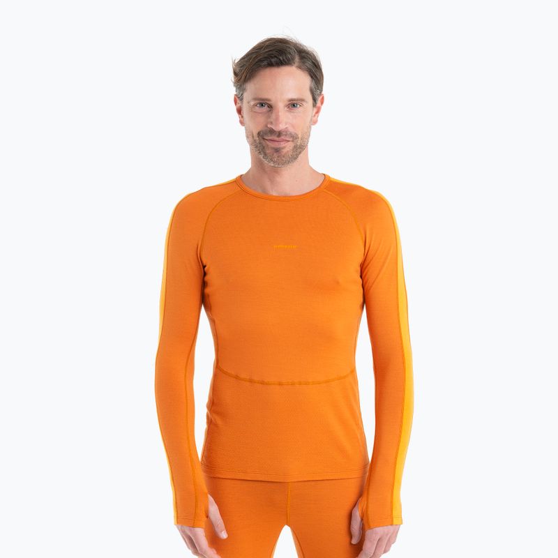 Мъжка термоактивна блуза icebreaker ZoneKnit 260 Crewe