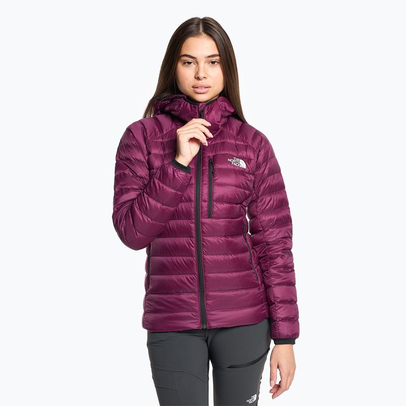 Дамско пухено яке The North Face Summit Breithorn Hoodie boysenberry