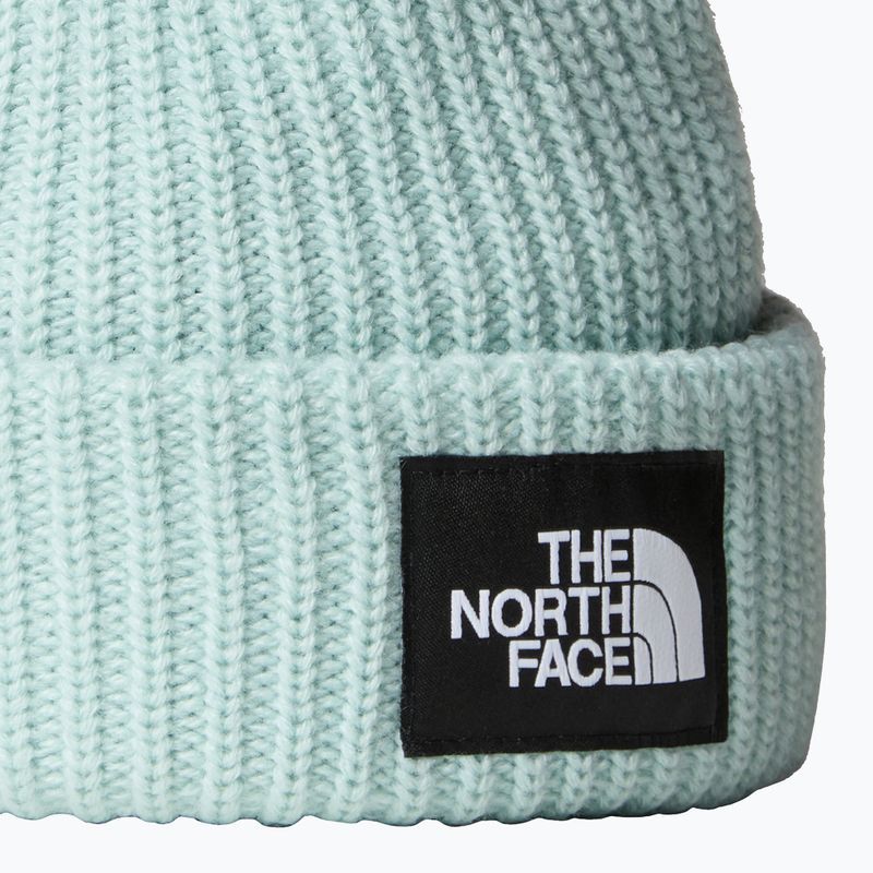 Детска зимна шапка The North Face Salty muted pine 2