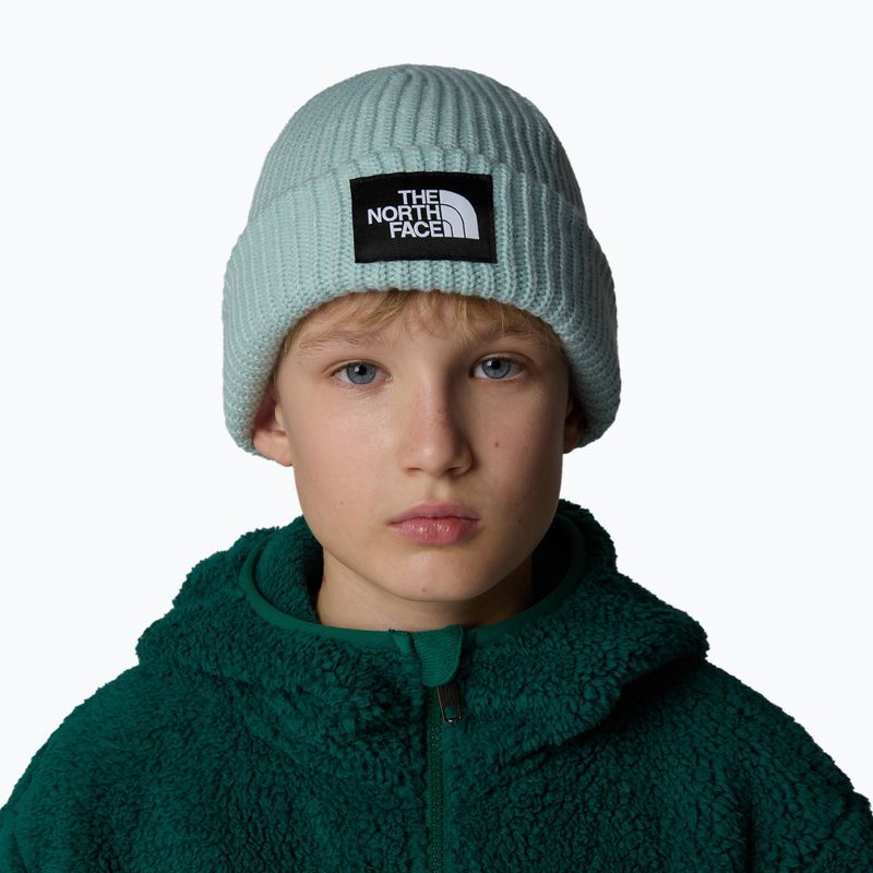 Детска зимна шапка The North Face Salty muted pine 4