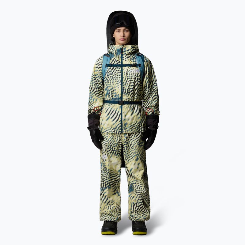 Мъжки скиорски панталони The North Face Build Up nettle the lift print 2
