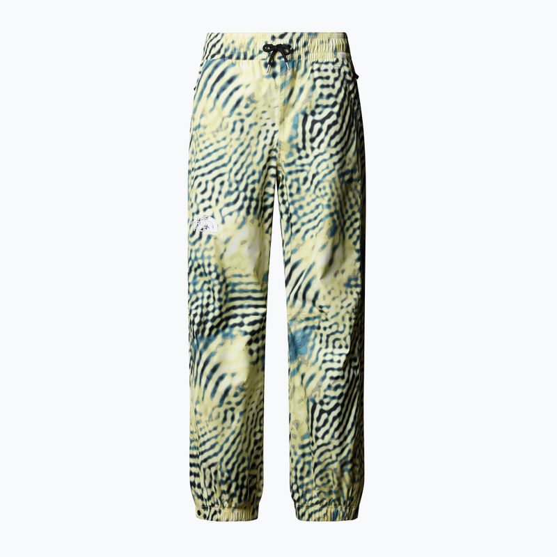 Мъжки скиорски панталони The North Face Build Up nettle the lift print 4