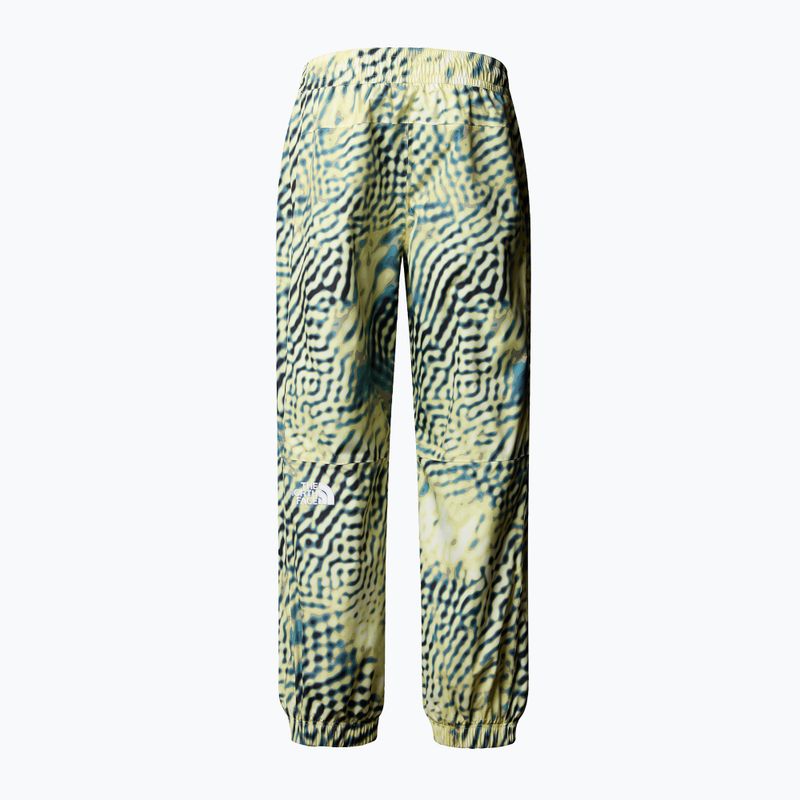 Мъжки скиорски панталони The North Face Build Up nettle the lift print 5