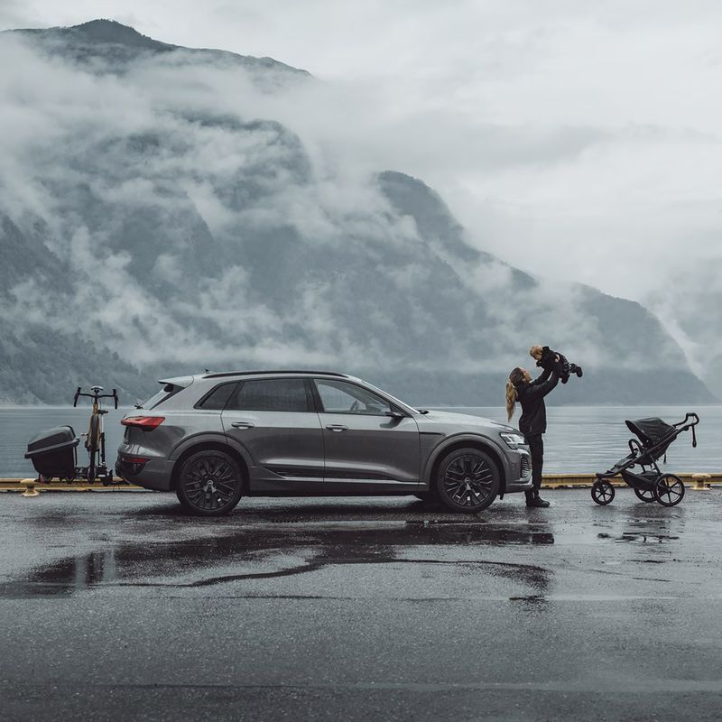 Кутия за теглич Thule Santu black 5