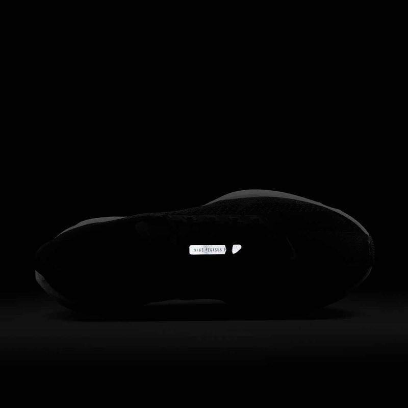 Мъжки обувки за бягане Nike Pegasus Plus black/anthracite/white/pure platinum 8