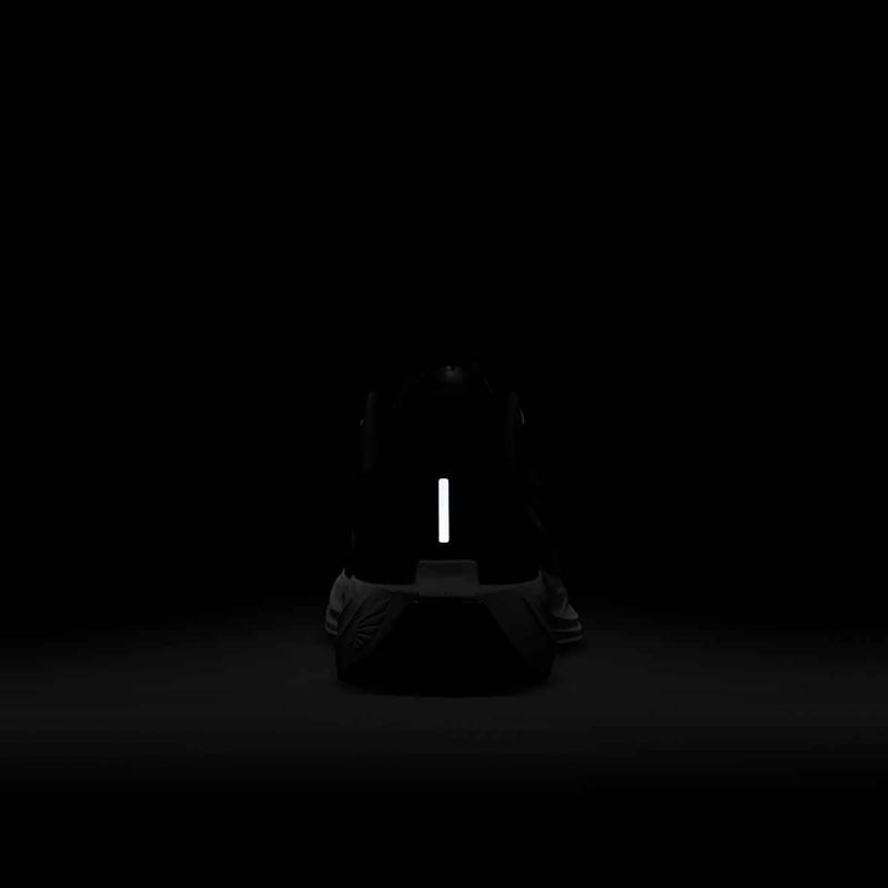 Мъжки обувки за бягане Nike Pegasus Plus black/anthracite/white/pure platinum 9