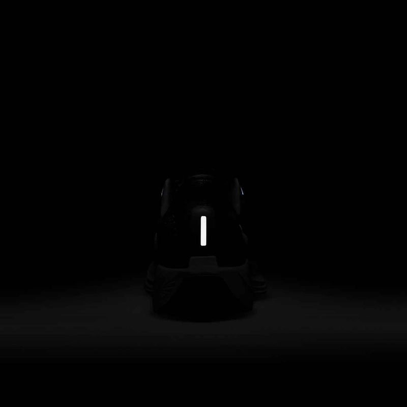 Дамски обувки за бягане Nike Pegasus Plus black/anthracite/white/pure platinum 10