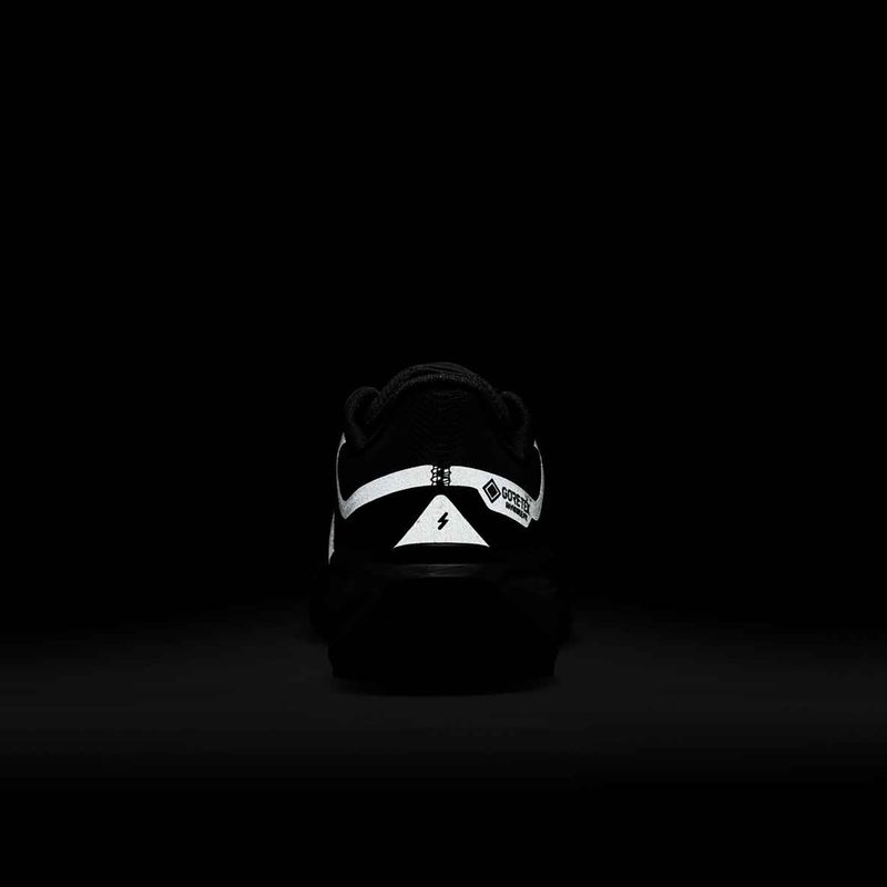 Дамски обувки за бягане Nike Pegasus 41 GORE-TEX black/anthracite/black 10