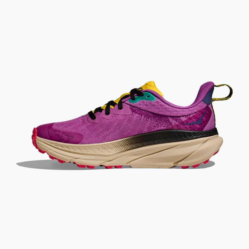 Дамски обувки за бягане HOKA Challenger 7 GTX superbloom/oatmeal 3