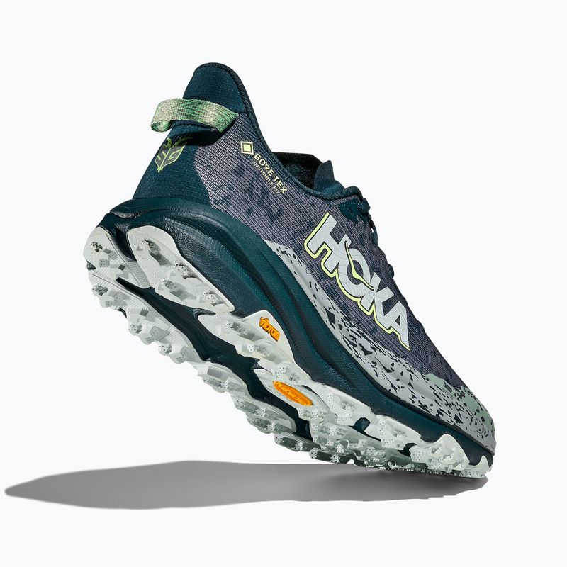 Мъжки обувки за бягане HOKA Speedgoat 6 GTX blue twilight/druzy 5