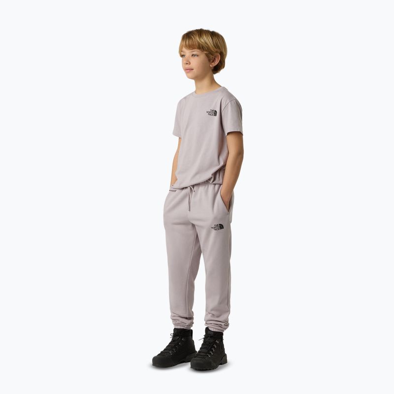 Детска тениска The North Face Teen Simple Dome Tee moonstone grey 2