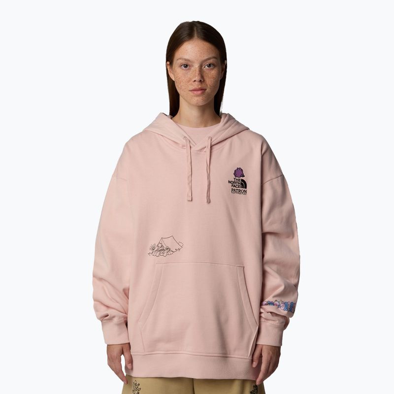 The North Face Mountain Cleanup Over Hoodie pink moss