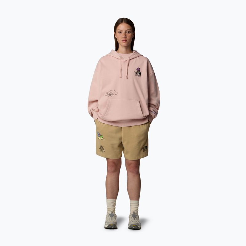 The North Face Mountain Cleanup Over Hoodie pink moss 2