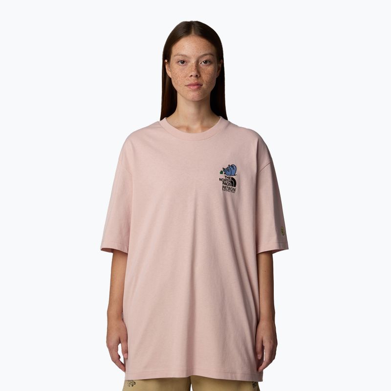 Мъжка тениска The North Face Reflective Box Nse Tee pink moss