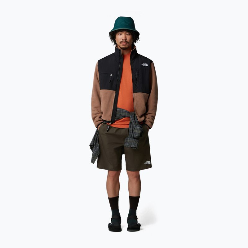 Мъжки къси панталони/шорти The North Face Limestone new taupe green 2