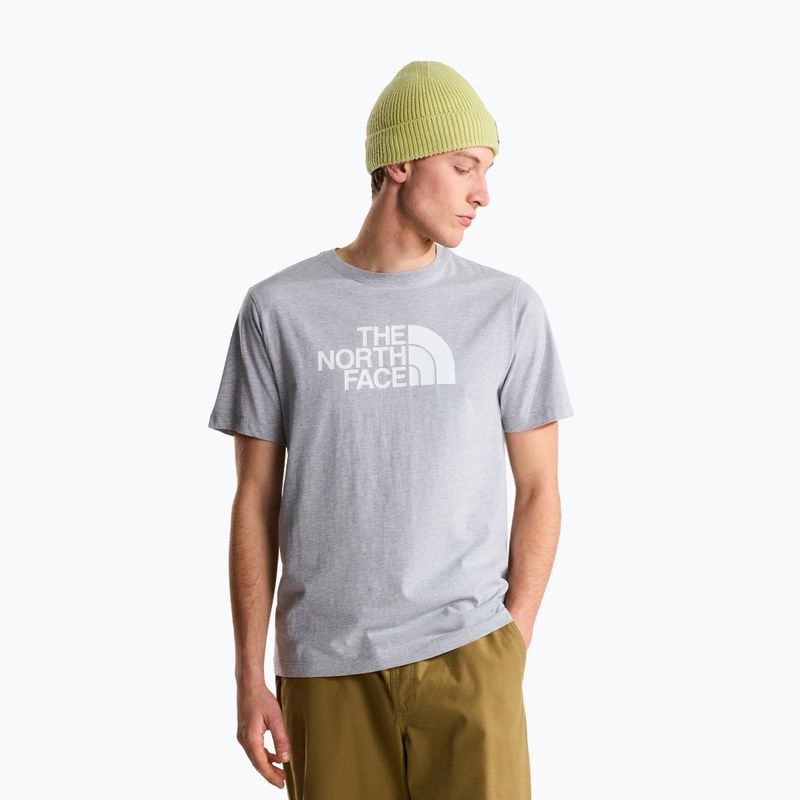 Мъжка тениска The North Face Evolution Half Dome tnf pale grey heather