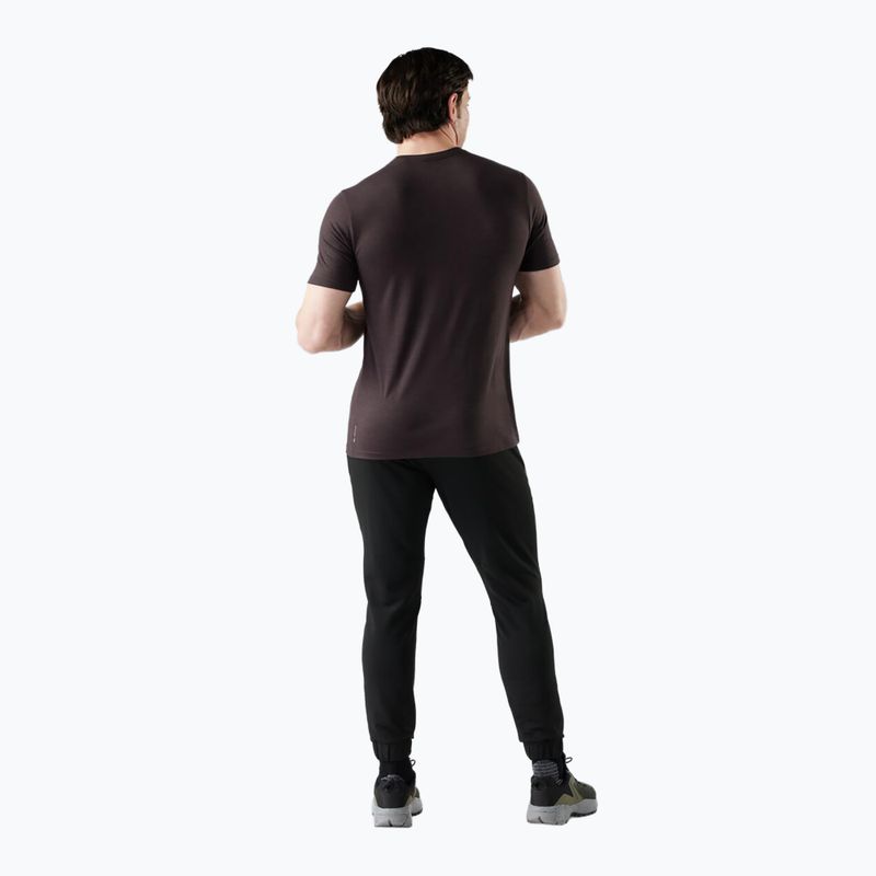 Мъжка тениска за трекинг Smartwool Peak Energy Active Graphic mink heather 2