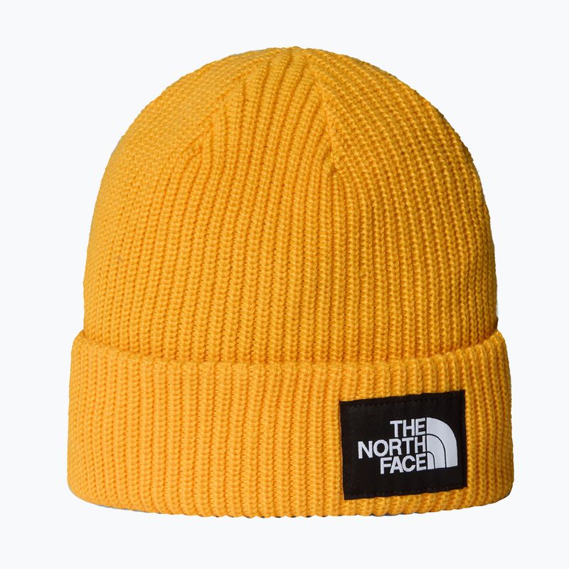 Зимна шапка The North Face Salty Lined
