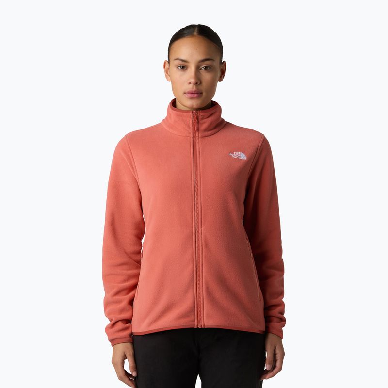 Дамски суитшърт от полар The North Face Glacier Fleece mars dust