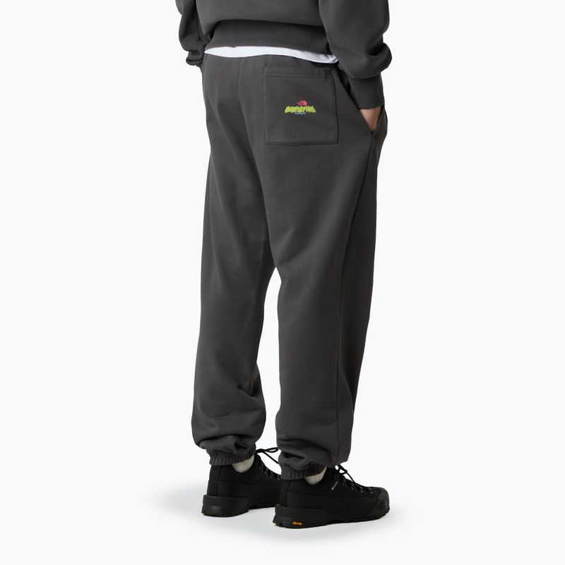 Мъжки панталони The North Face Expedition Celebration Relaxed Jogger Reg, anthracite grey 3